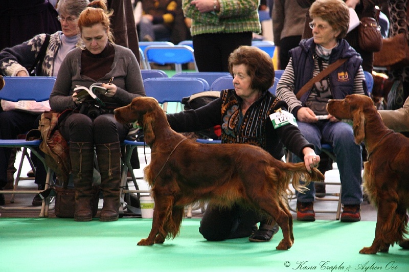 Crufts2011 234.jpg